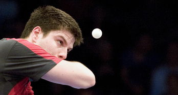 开云体育入口-波兰乒乓球队爆冷德国乒乓球队，樊振东绝境逆转